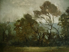 Bough Rhythms